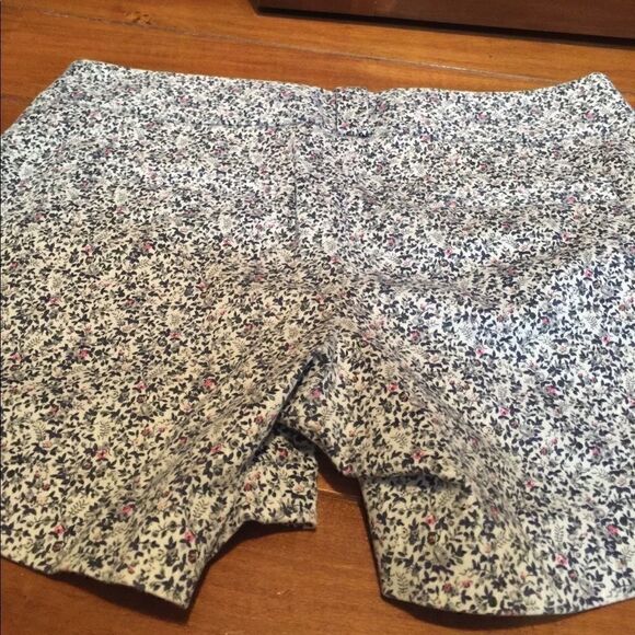 J.Crew shorts size 4  - Picture 3 of 5